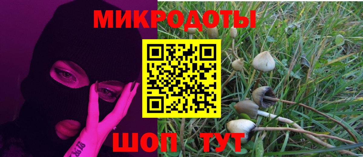 Галлюциногенные грибы мицелий  Галлюциногенные грибы Cubensis  Семёнов  Вход с VPN 