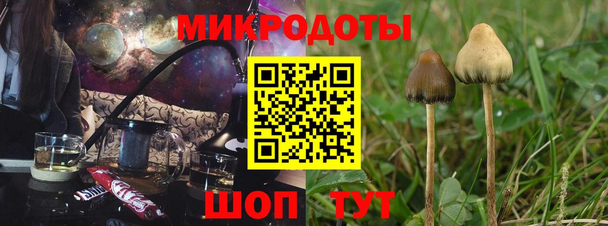 Галлюциногенные грибы GOLDEN TEACHER Семёнов